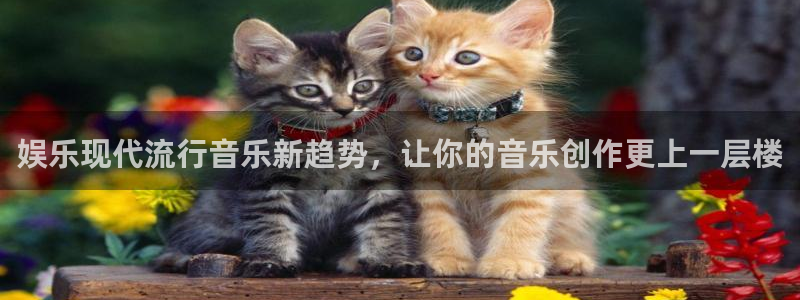 壹号app下载苹果：娱乐现代流行音乐新趋势，让你的音乐创作更上一层楼