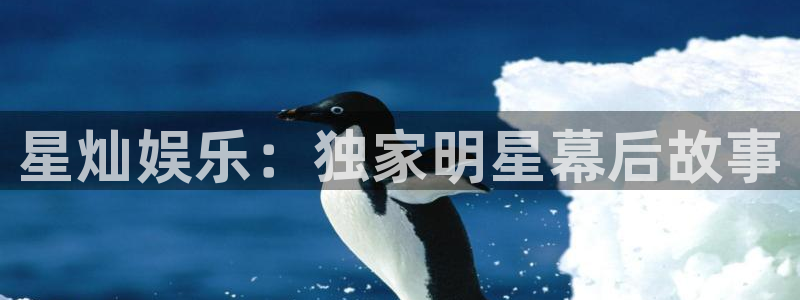 长运平台是什么平台：星灿娱乐：独家明星幕后故事
