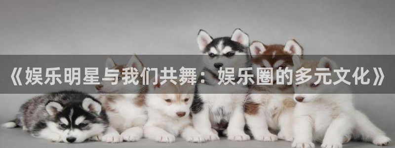 壹号官方app下载安装：《娱乐明星与我们共舞：娱乐圈的多元文化》