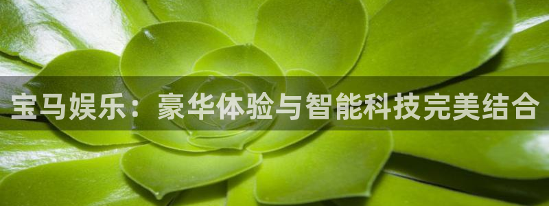 壹号app下载链接：宝马娱乐：豪华体验与智能科技完美结合