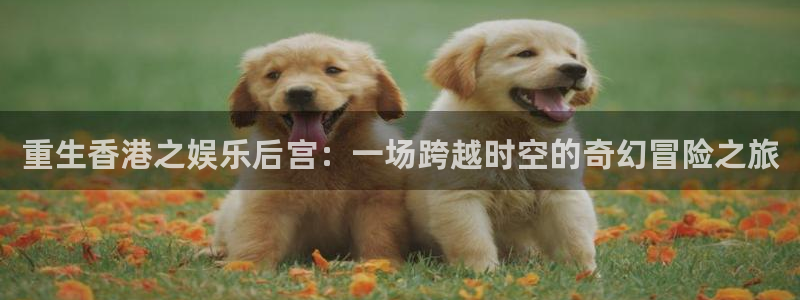 长运平台app：重生香港之娱乐后宫：一场跨越时空的奇幻冒险之旅