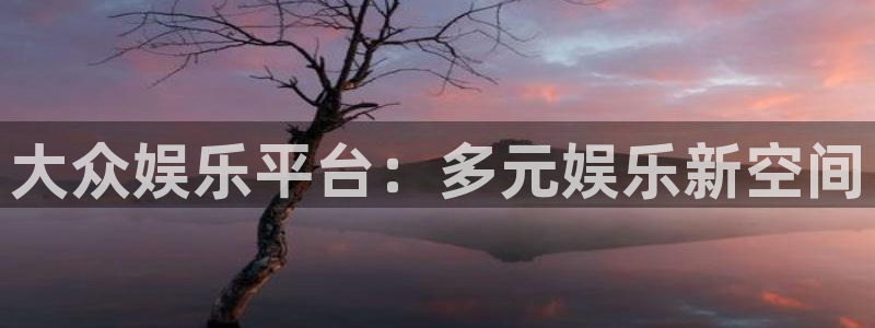 壹号玩家app下载