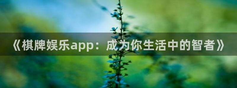 长运平台加拿大下载：《棋牌娱乐app：成为你生活中的智者》