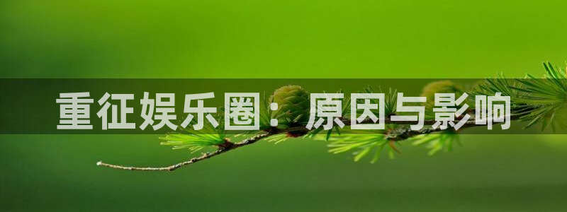 长运平台平台官网版下载：重征娱乐圈：原因与影响