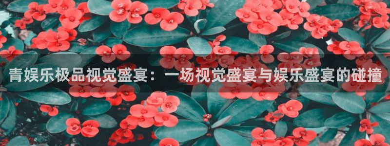 长运平台注册网页版：青娱乐极品视觉盛宴：一场视觉盛宴与娱乐盛宴的碰撞