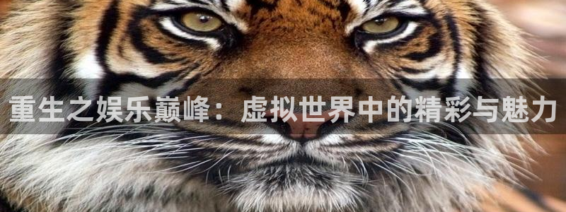 壹号国际app免费下载安装：重生之娱乐巅峰：虚拟世界中的精彩与魅力