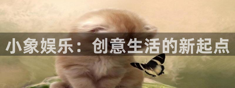 长运平台平台官网登录入口：小象娱乐：创意生活的新起点