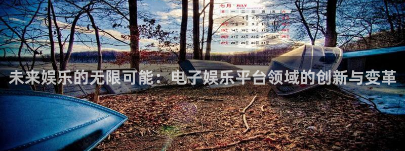长运平台官网下载：未来娱乐的无限可能：电子娱乐平台领域的创新与变革