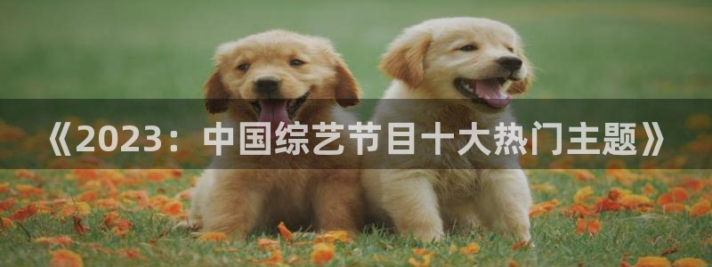 长运平台赏金女王：《2023：中国综艺节目十大热门主题》