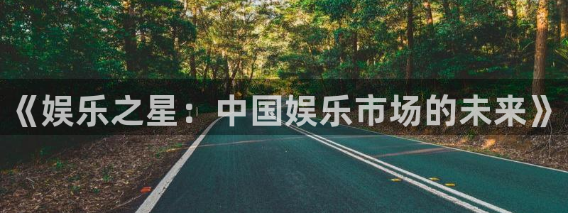 长运平台app哪个模式容易赢：《娱乐之星：中国娱乐市场的未来》