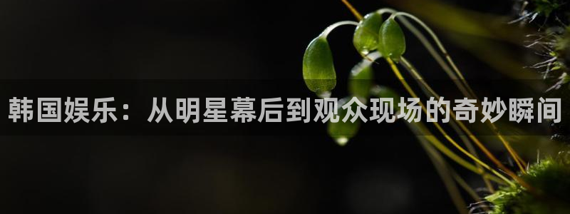 长运平台.ccmpc正版：韩国娱乐：从明星幕后到观众现场的奇妙瞬间