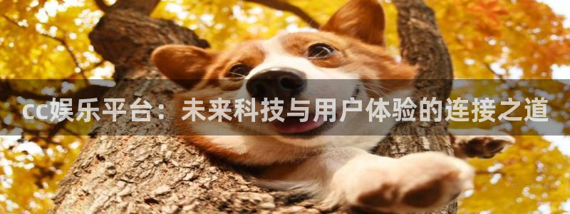 长运平台app官网：cc娱乐平台：未来科技与用户体验的连接之道