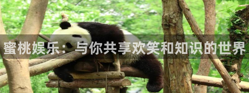 长运平台平台下载入口：蜜桃娱乐：与你共享欢笑和知识的世界