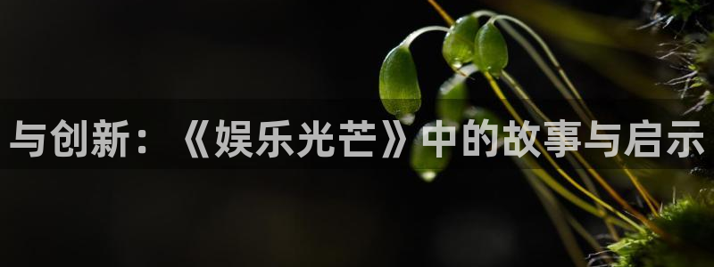 长运平台注册官网入口