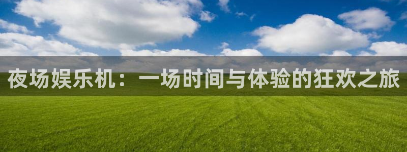 下载长运平台：夜场娱乐机：一场时间与体验的狂欢之旅