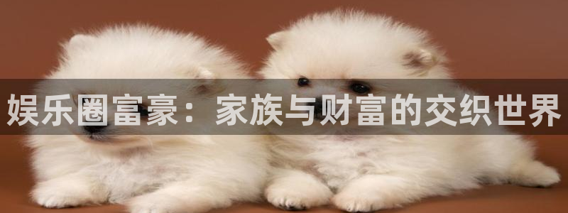 长运平台是正规平台吗：娱乐圈富豪：家族与财富的交织世界
