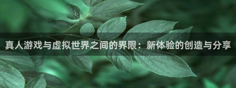长运平台.ccmpc29官网版下载：真人游戏与虚拟世界之间的界限：新体验的创造与分享