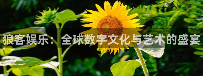 下载长运平台：狼客娱乐：全球数字文化与艺术的盛宴