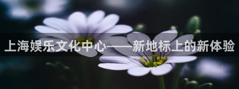 长运平台注册登录入口：上海娱乐文化中心——新地标上的新体验