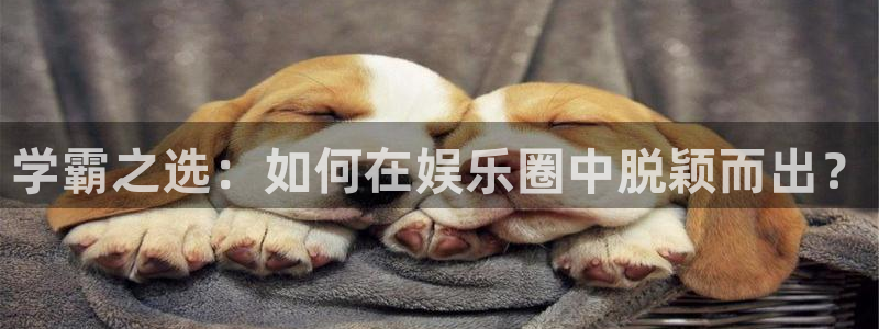 长运平台麻将胡了：学霸之选：如何在娱乐圈中脱颖而出？