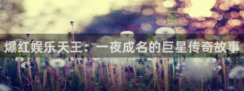 壹号app官网