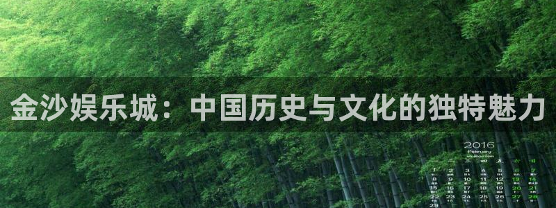 壹号电子娱乐app：金沙娱乐城：中国历史与文化的独特魅力