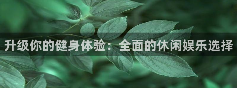 pg长运平台平台下载入口：升级你的健身体验：全面的休闲娱乐选择