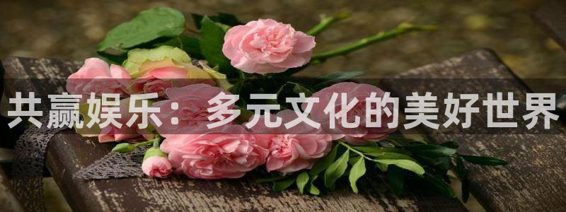 长运平台电子娱乐官网下载：共赢娱乐：多元文化的美好世界