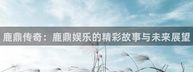 壹号国际app免费下载安装：鹿鼎传奇：鹿鼎娱乐的精彩故事与未来展望