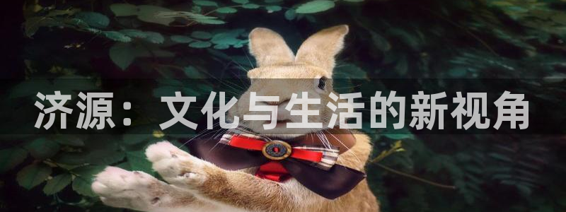长运平台app下载安装：济源：文化与生活的新视角
