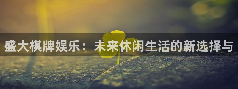长运平台是啥：盛大棋牌娱乐：未来休闲生活的新选择与