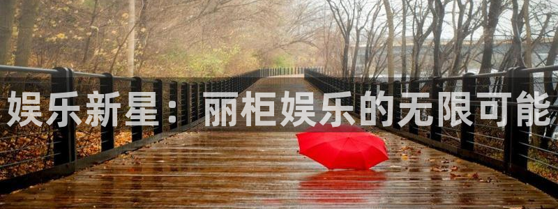 长运平台官网下载：娱乐新星：丽柜娱乐的无限可能