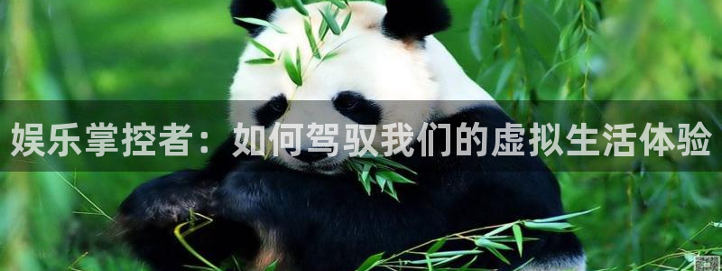 壹号app下载官网娱乐：娱乐掌控者：如何驾驭我们的虚拟生活体验