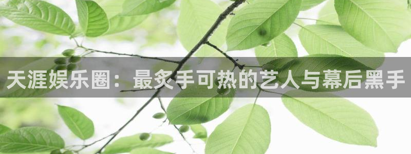 长运平台平台官网版下载：天涯娱乐圈：最炙手可热的艺人与幕后黑手