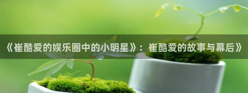 长运平台电子游戏官网：《崔酷爱的娱乐圈中的小明星》：崔酷爱的故事与幕后》
